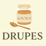 Drupes Business Logo almond nut butter jar drawing