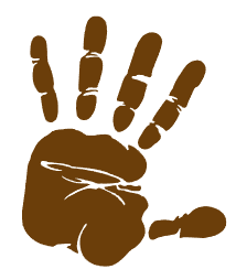 Drupes-terms-of-service